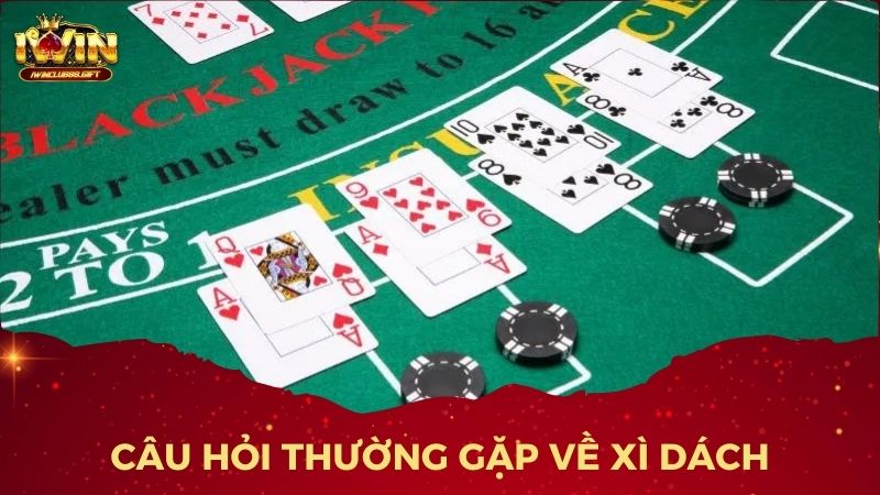 Câu Hỏi Thường Gặp Về Xì Dách